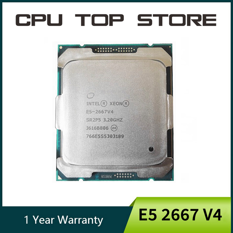 Intel Xeon E5 2667 V4 2667V4 3 - Gold 6248R ulasan dan harga